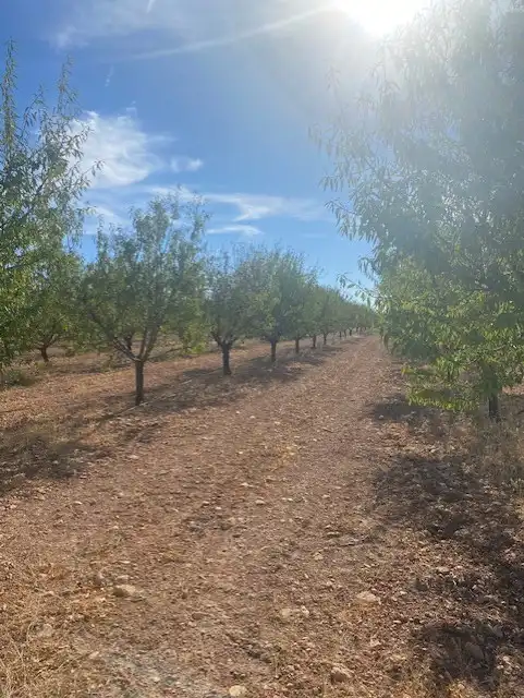 Terreno rustico in vendita a Calle García Pavón, imagen 4