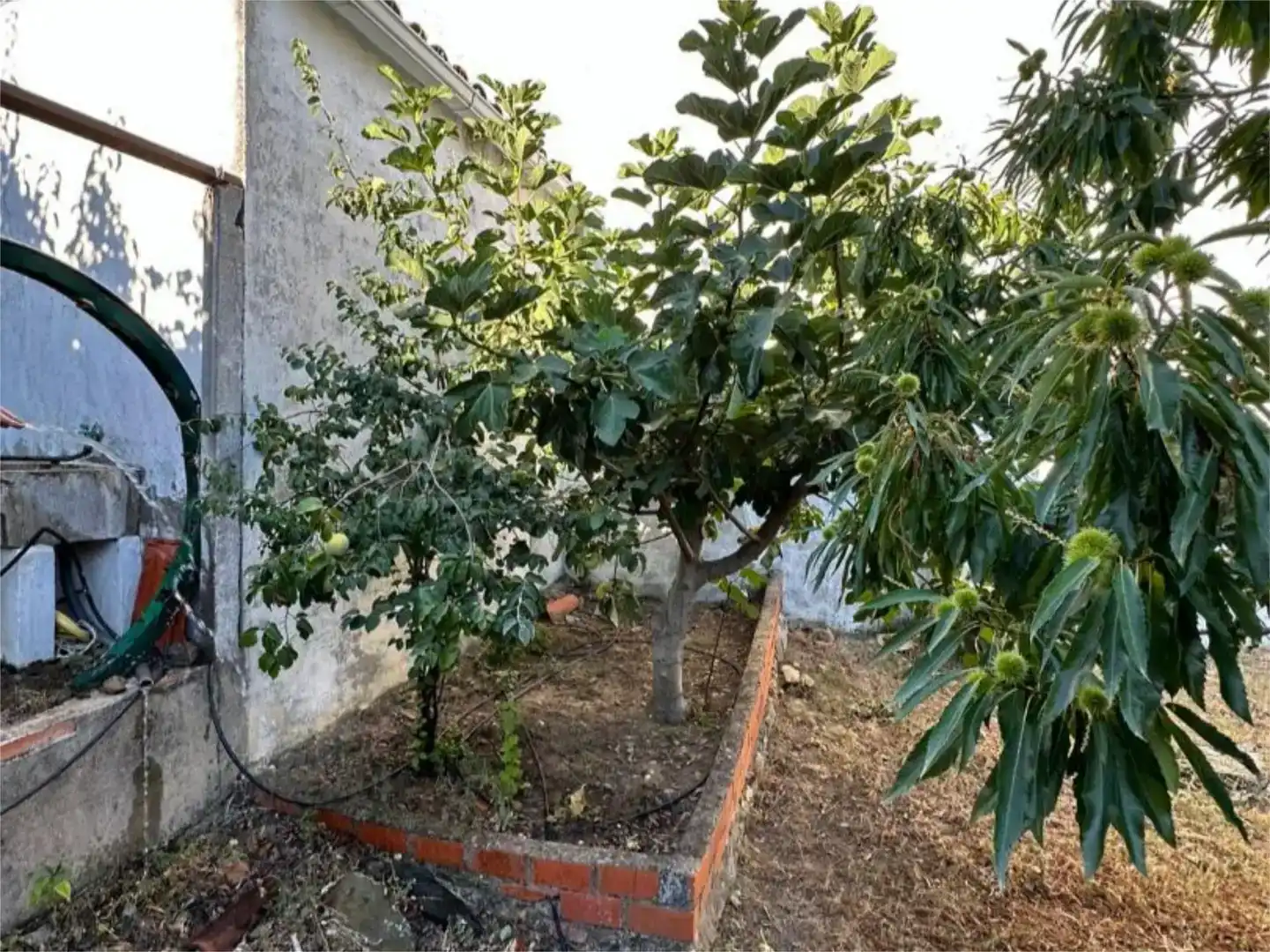 Jardín de Planta baja en venta en Los Navalucillos