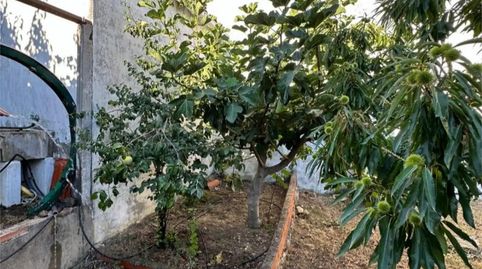 Foto 3 de Planta baixa en venda a Calle Chorrillo, 12, Los Navalucillos, Toledo