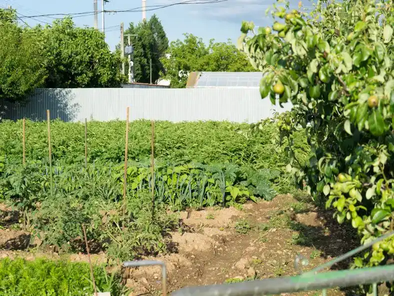 Jardí de Casa o xalet en venda en Ponferrada amb Piscina i Balcó