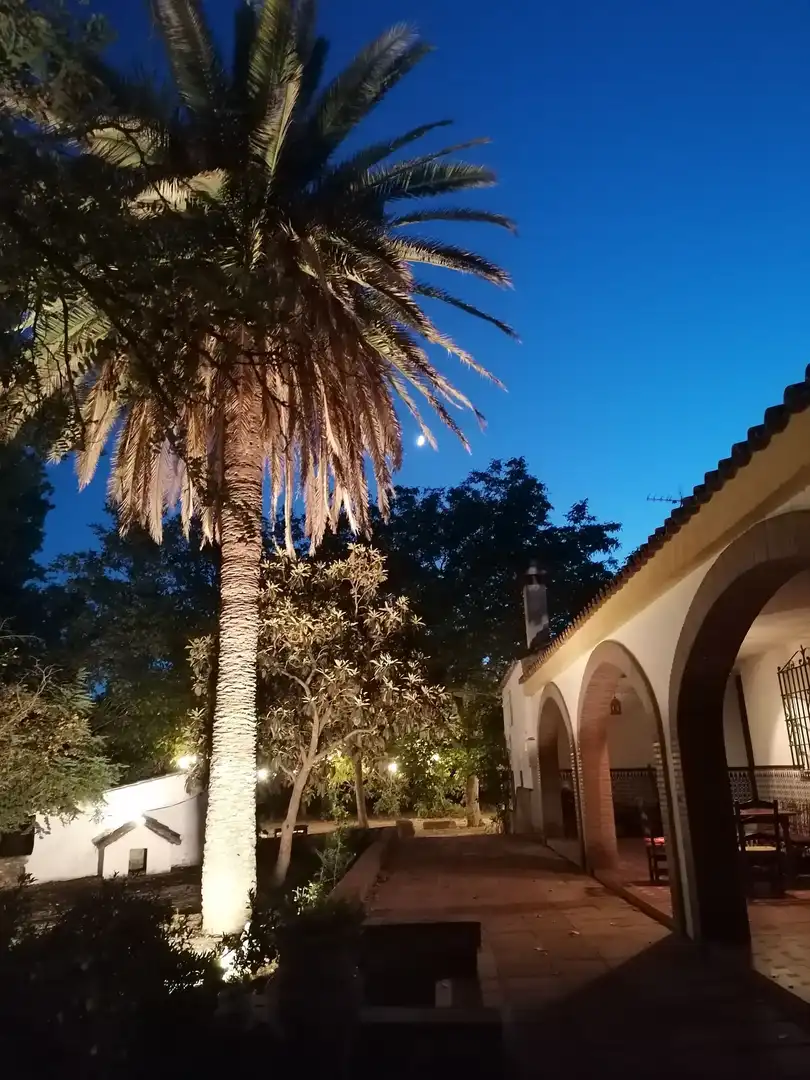 Casa rústica amb piscina en venda a Partidas Norte, imagen 6