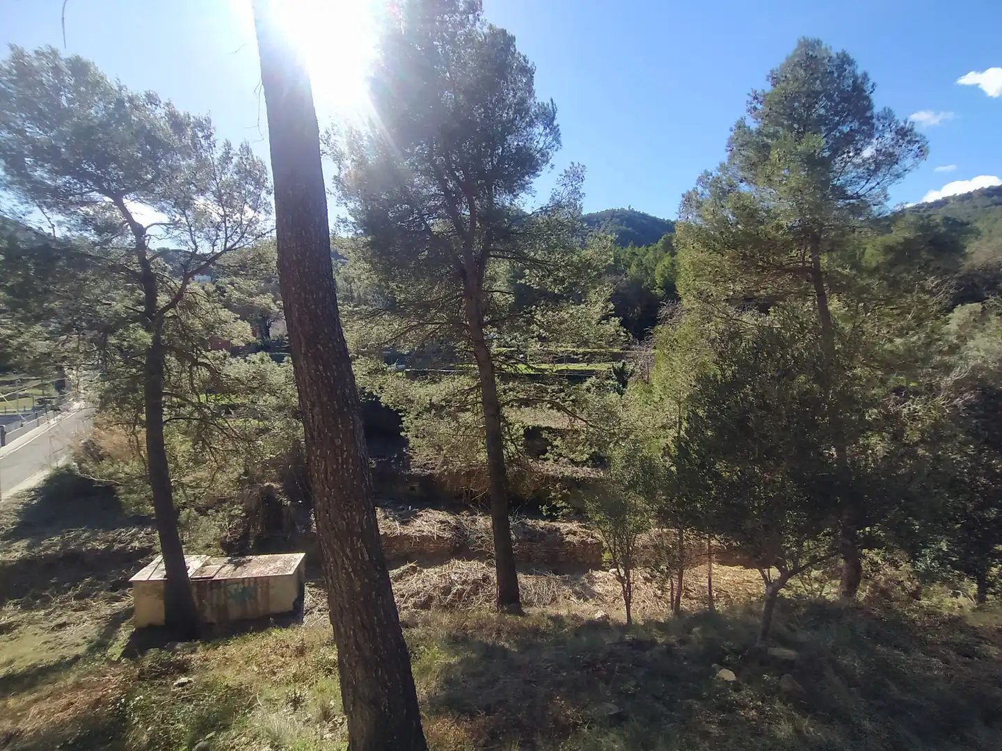 Wohnbaugrundstück zum Verkauf in Carretera Corbera a Gelida 83, imagen 24