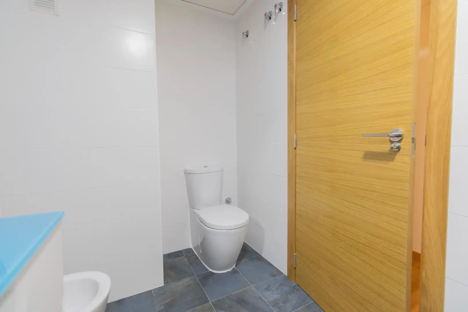 Attique avec piscine à vendre à Paseo Paseo Germanías 118, imagen 45