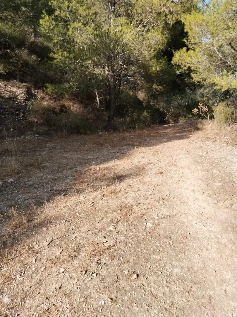 Casa rústica en venda a Carretera Alozaina, imagen 11