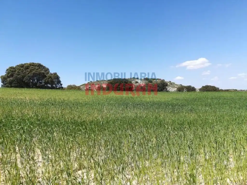 Finca rústica en venta en Villarrubia de Santiago