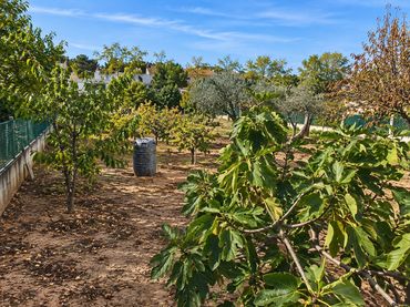 Terreno residenziale in vendita a Palau-solità i Plegamans
