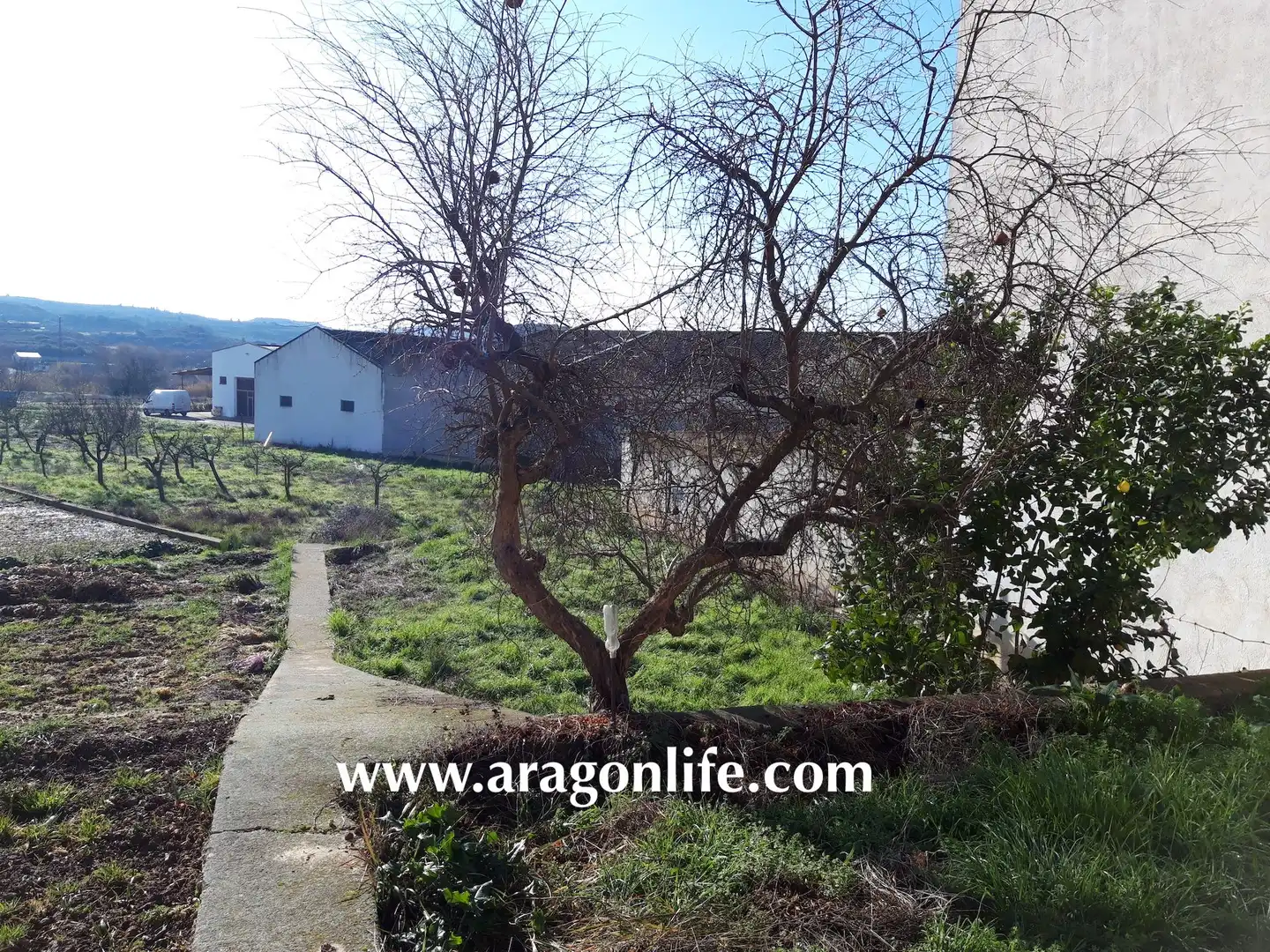 Terreno residenziale in vendita a Maella, imagen 7