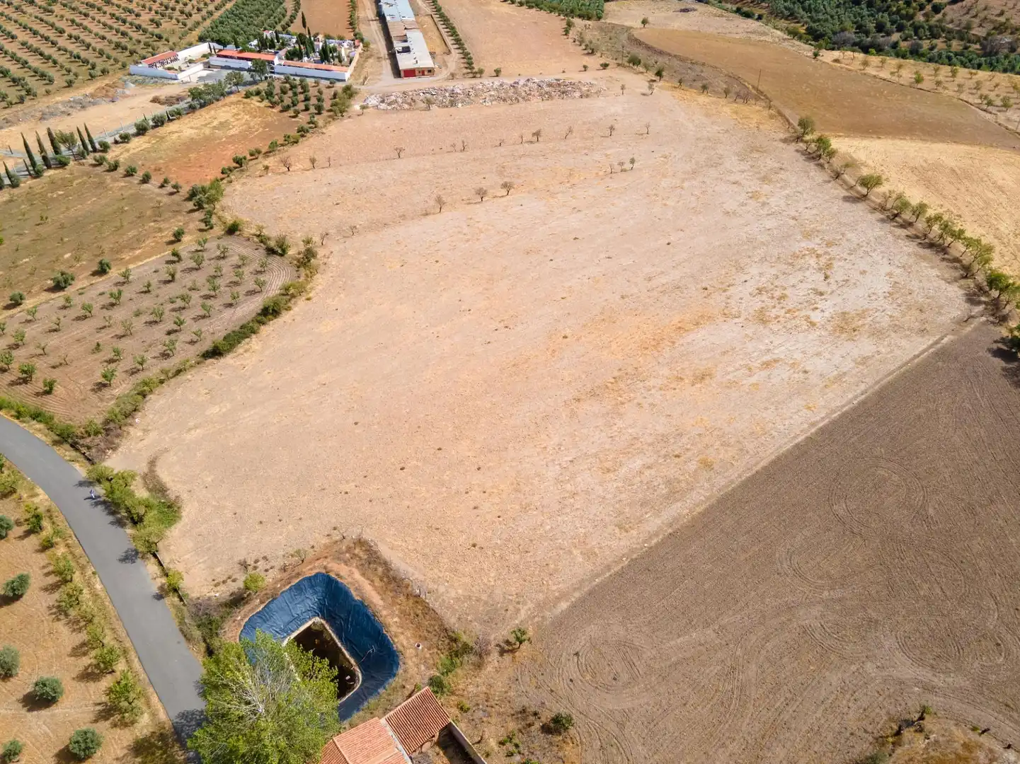 Terreno en venta en Cogollos de Guadix