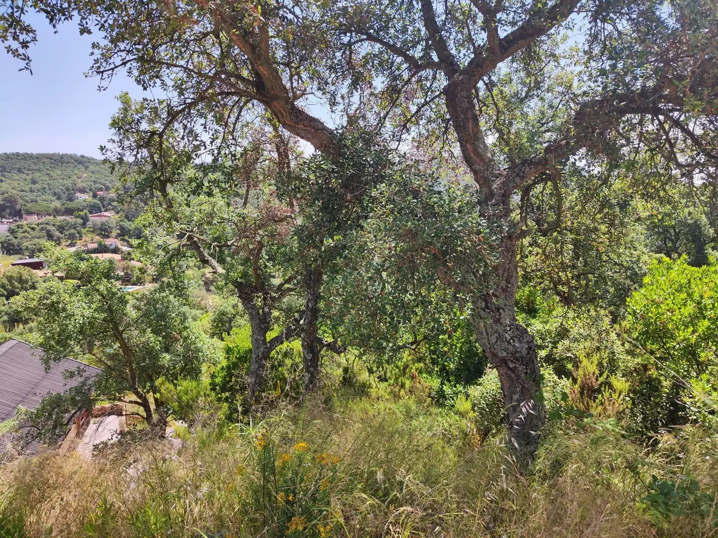 Residential land for sale in Llagostera, imagen 2