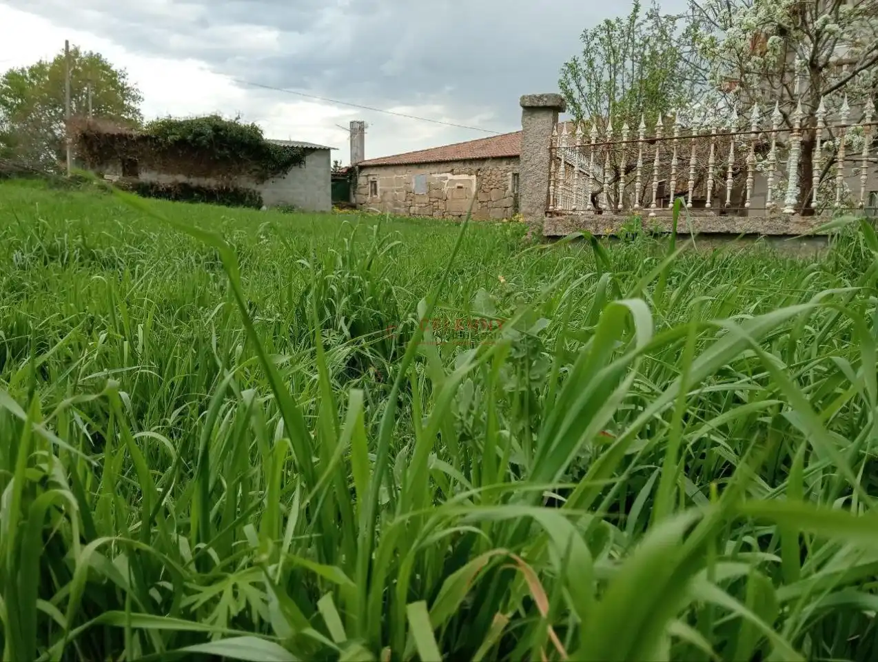 Casa amb jardí en venda a O Pereiro de Aguiar, imagen 29
