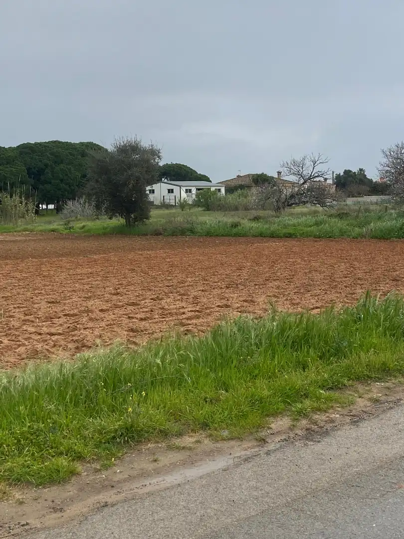 Terrenys i solars en venda a Camino del Lagar 29, imagen 3