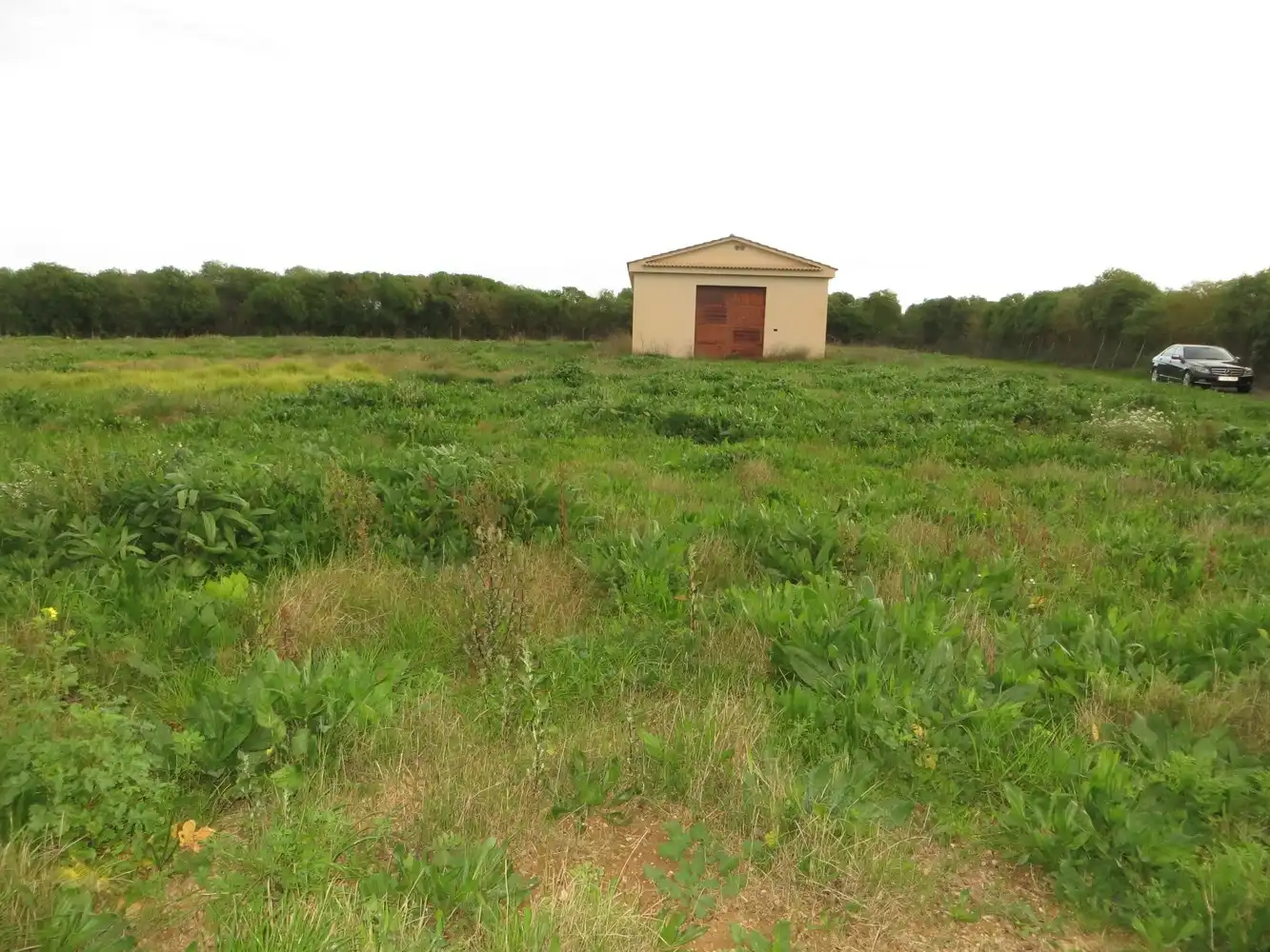 Finca rústica en venta en  Palma de Mallorca con Aire acondicionado, Calefacción y Jardín privado