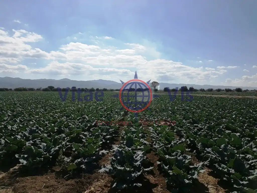 Residential land for sale in Pedanías Sur, imagen 2