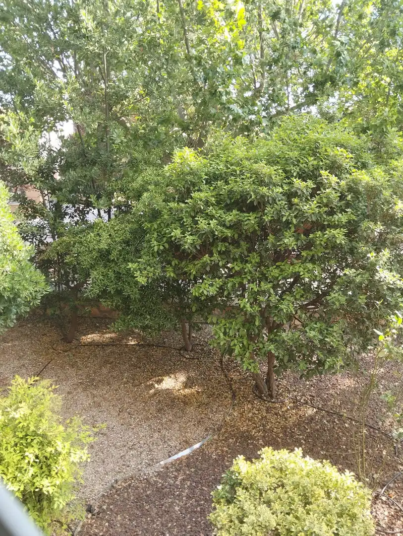 Apartament en venda a Lillo
