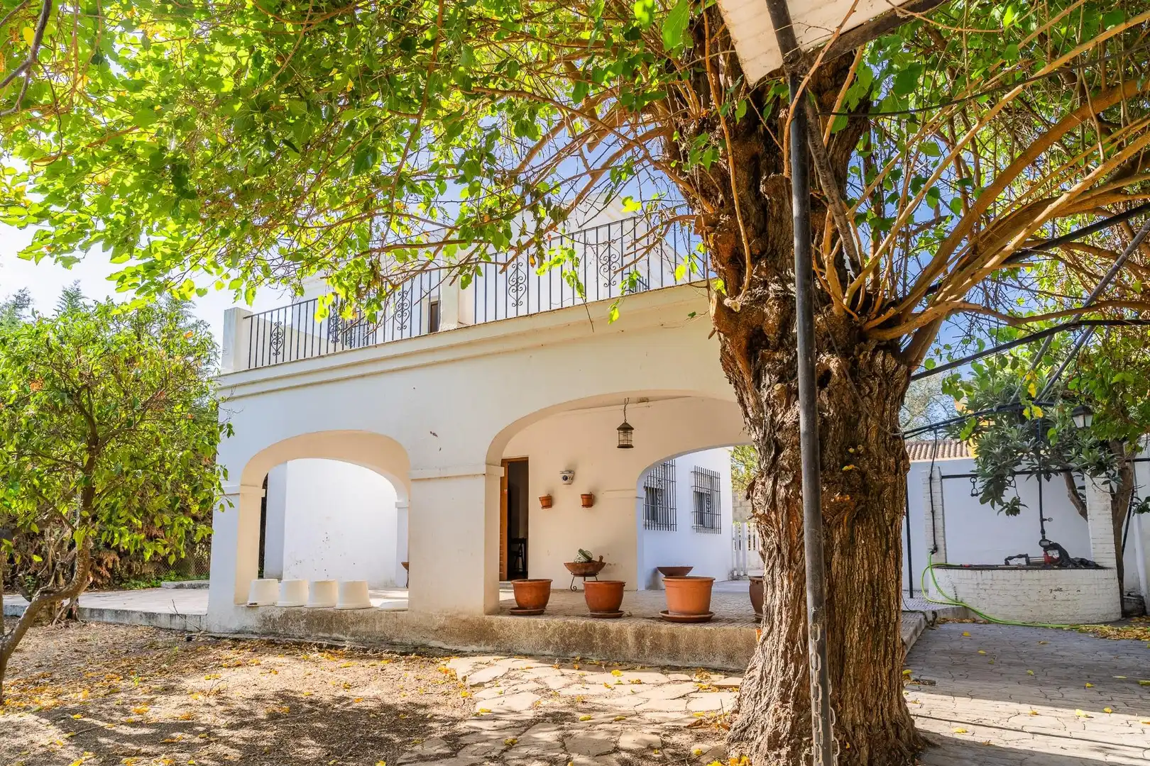 Maison à vendre à Ctra Sanlúcar - Cuatro Pinos, imagen 62