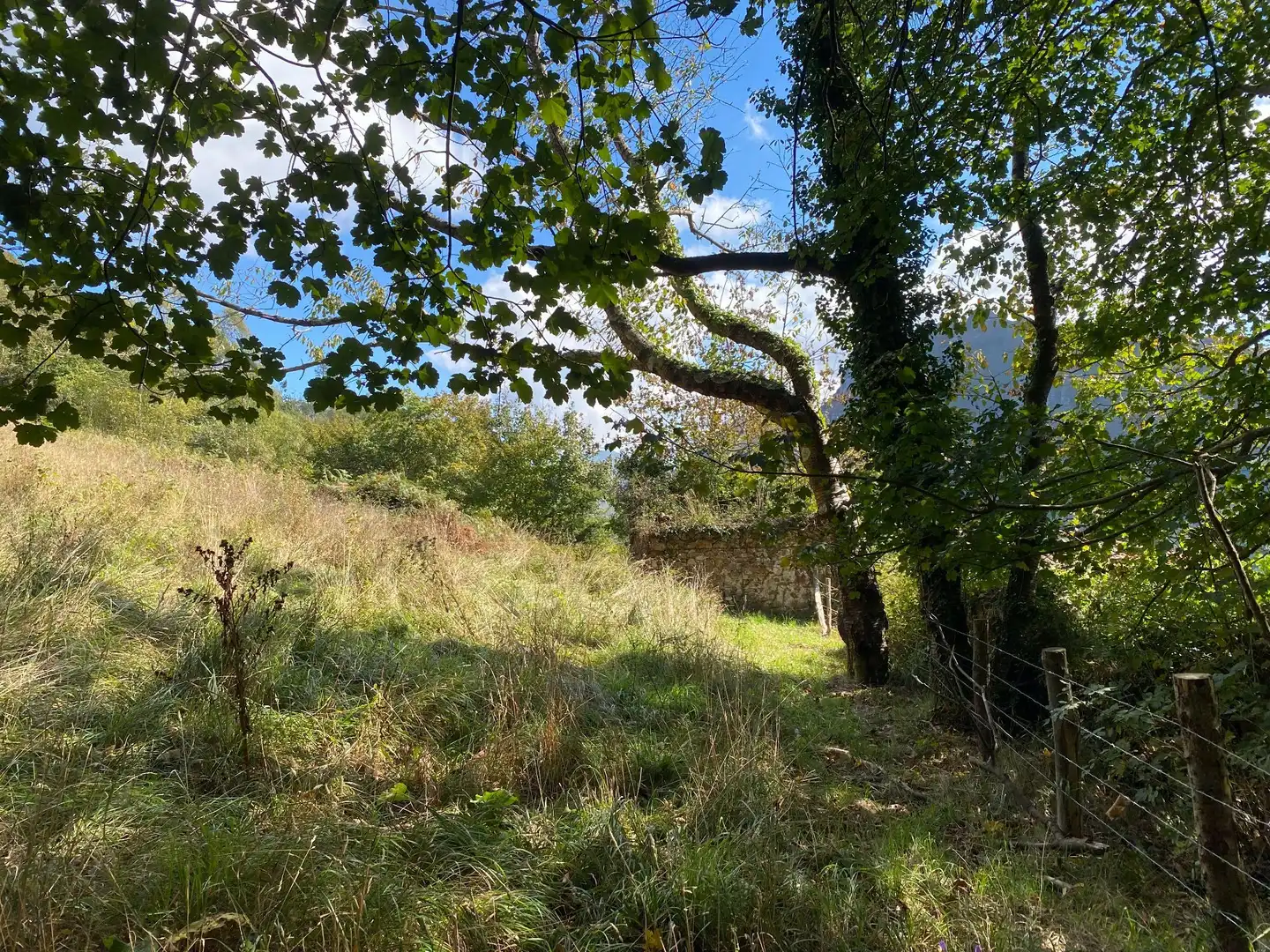 Maison avec jardin à vendre à Tresmonte, imagen 63