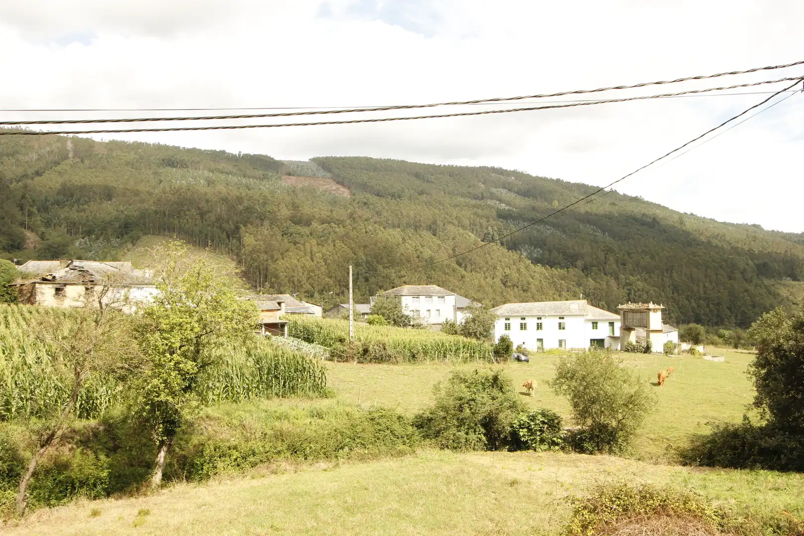 Vista exterior de Finca rústica en venta en Mondoñedo