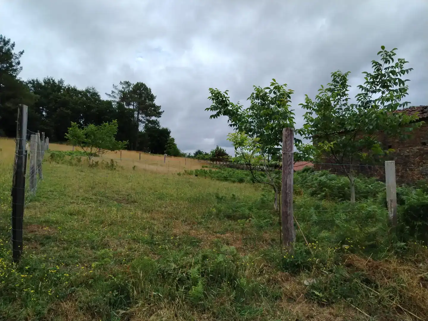 Finca rústica en venda en Touro