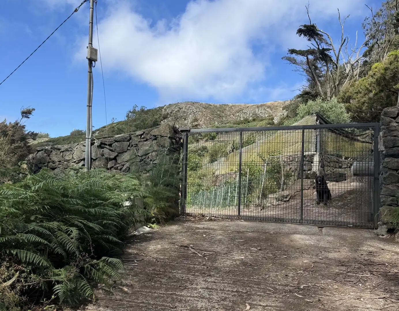 Rural land for sale in Tegueste, imagen 2