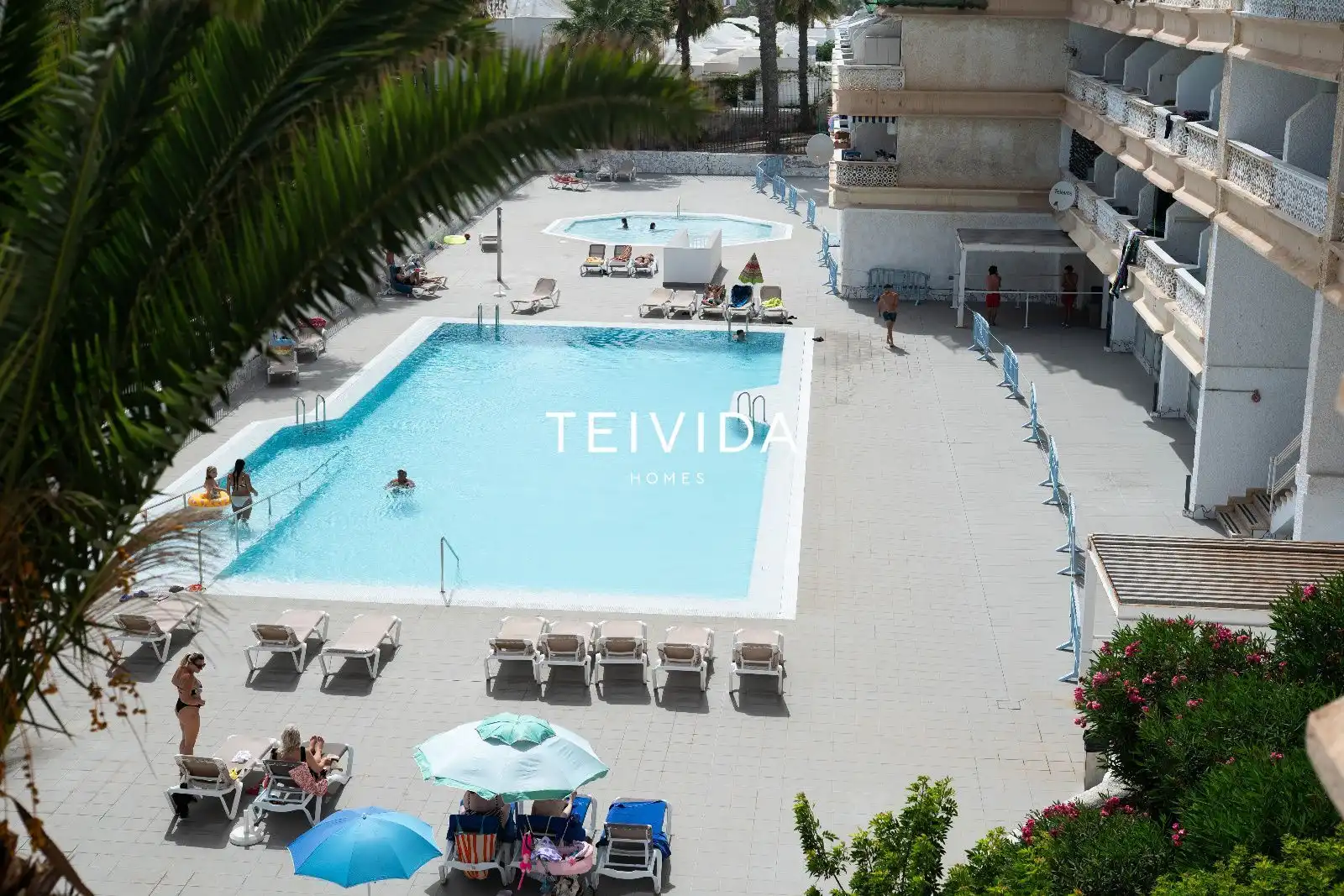 Swimming pool of Flat for rent in Arona  with Swimming Pool, Furnished and Community pool