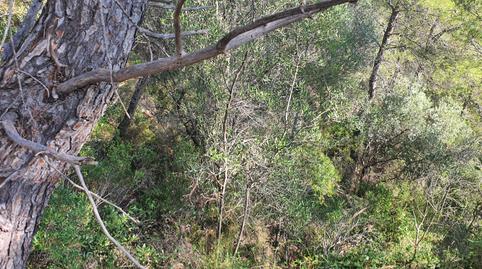 Photo 3 of House or chalet for sale in Benifallet, Tarragona