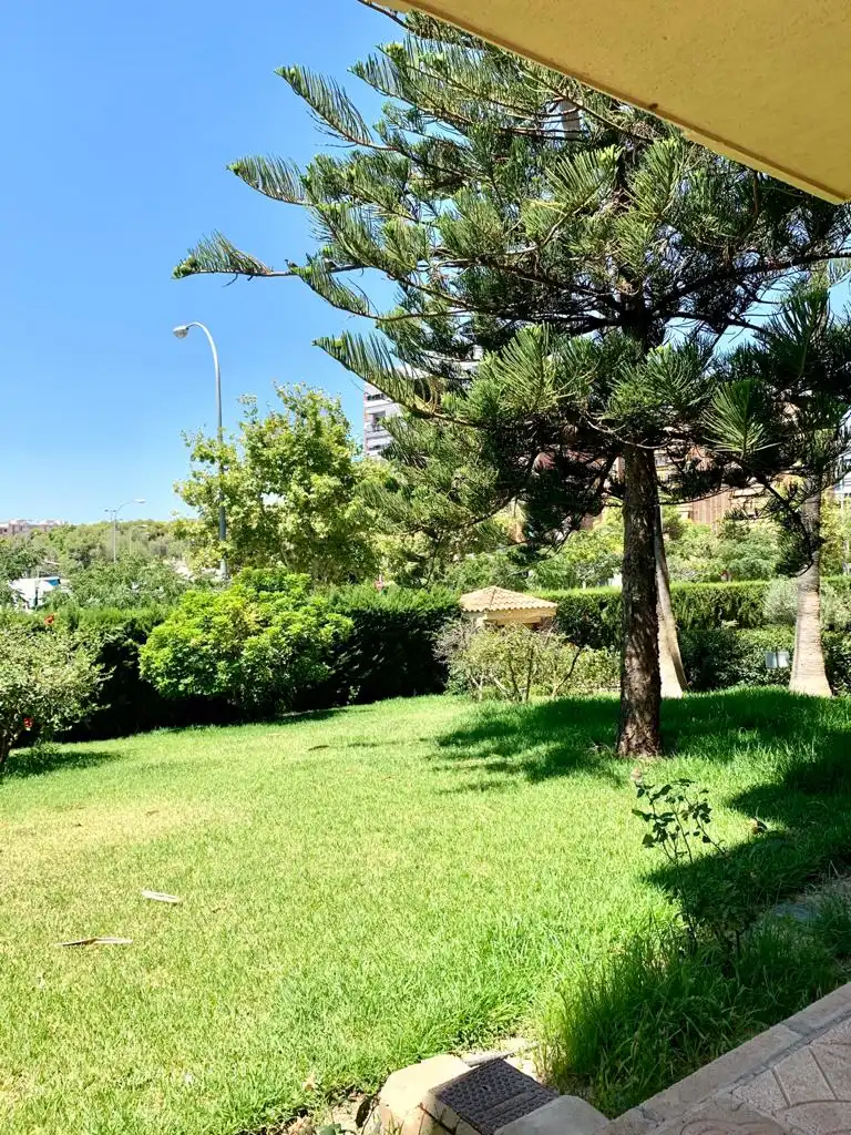 Jardí de Apartament en venda en Alicante / Alacant amb Aire condicionat, Terrassa i Moblat