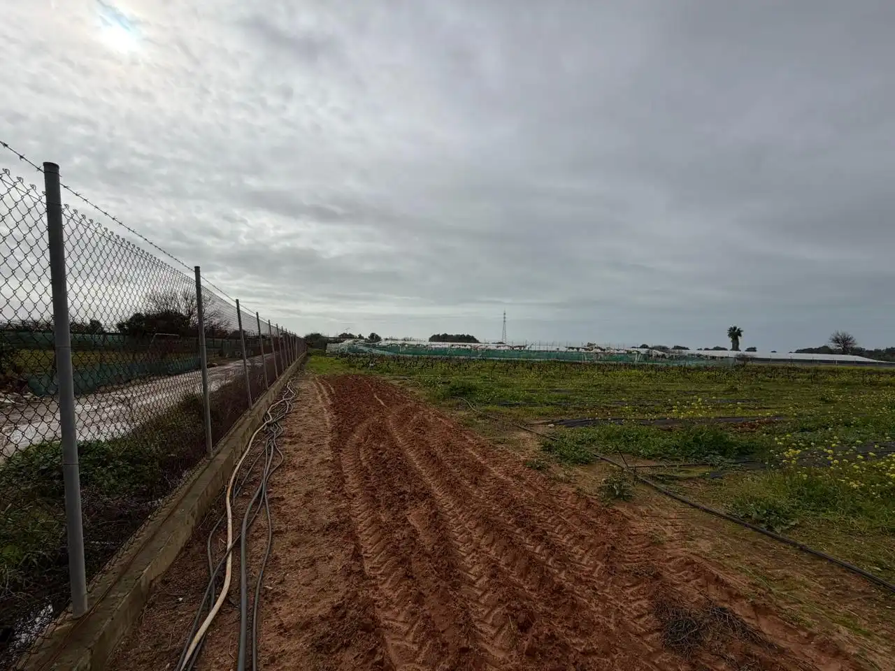 Terreni e lotti in vendita a Jerez, imagen 12