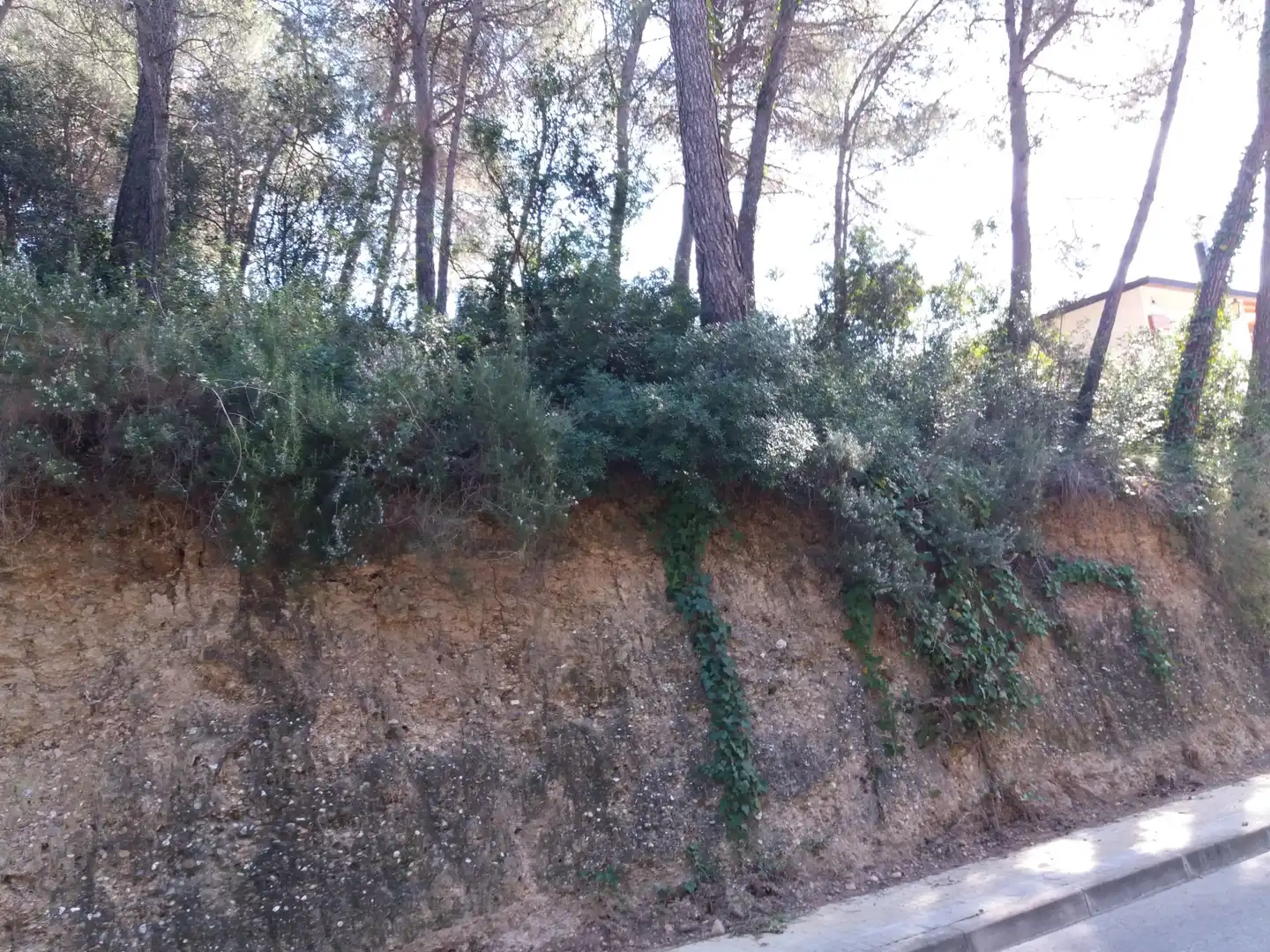 Residencial en venda en Rubí