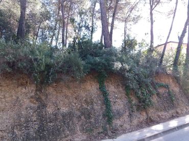 Terrenys i solars en venda a Castellnou - Can Mir - Can Solà