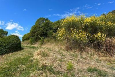 Foto 4 de Residencial en venda a Vinculo, Añorbe, Navarra