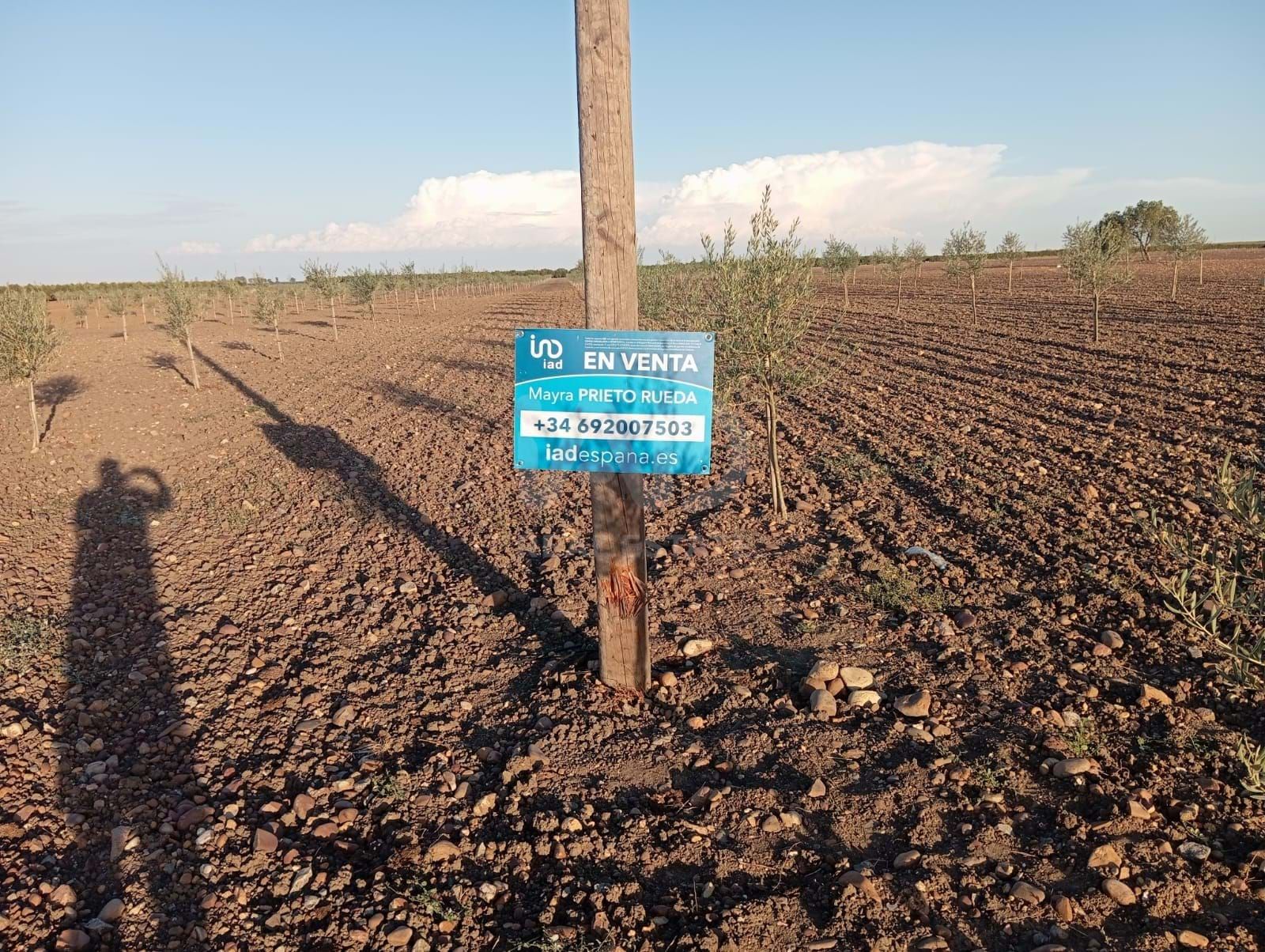 Land for sale in Cañada Rosal