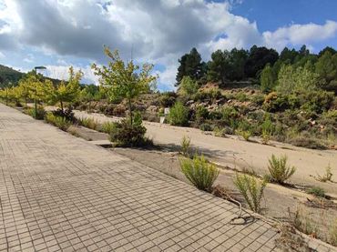 Residential land for sale in Sector El Belengueron