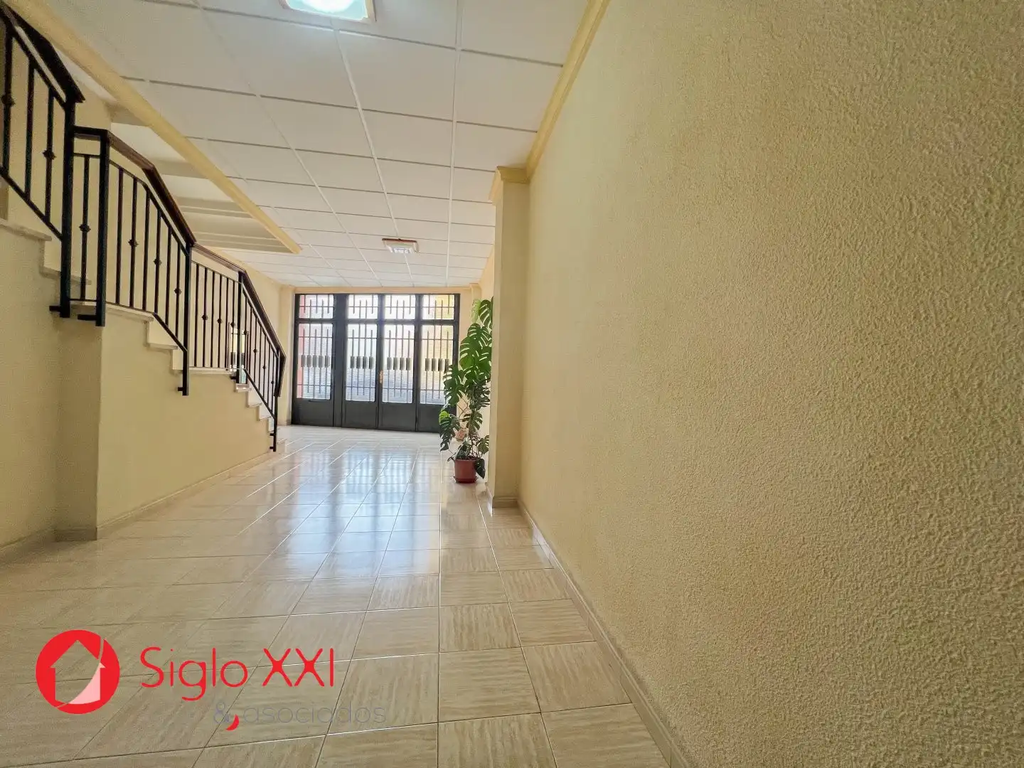 House with terrace for sale in El Pilar, imagen 5