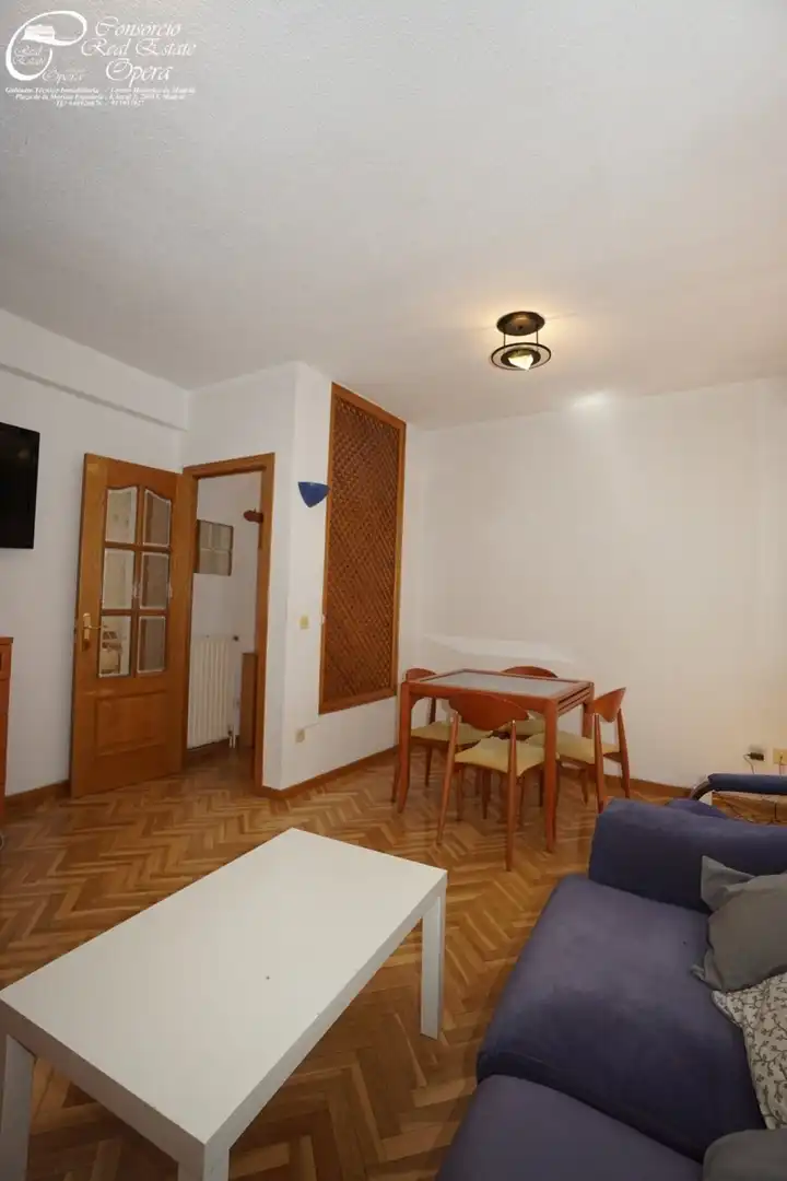 Piso con ascensor en alquiler en Calle rodriguez san pedro, imagen 33