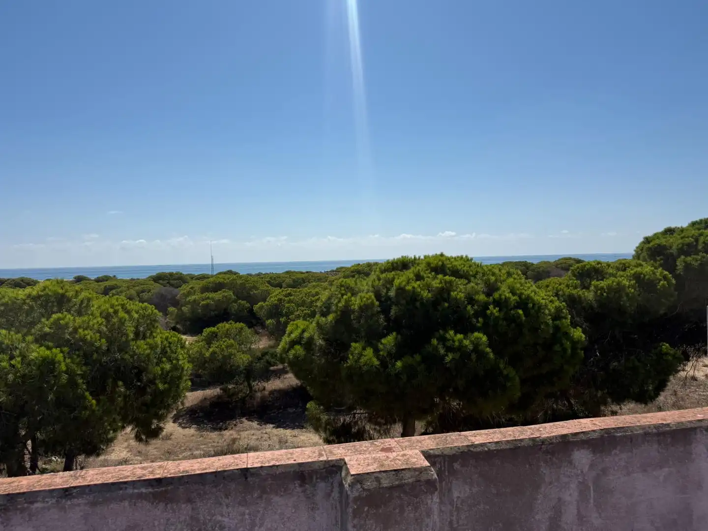 Jardín de Piso en venta en Guardamar del Segura con Aire acondicionado, Terraza y Trastero