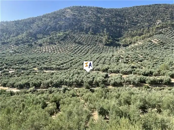 Casa rustica in vendita a Rute, imagen 3