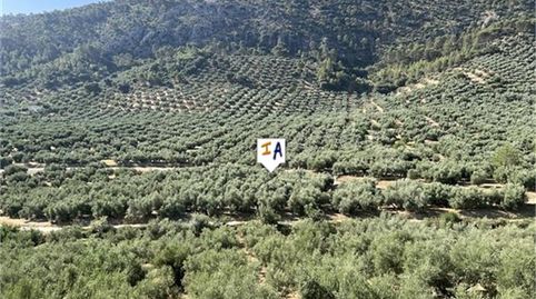 Foto 3 de Finca rústica en venta en Rute, Córdoba