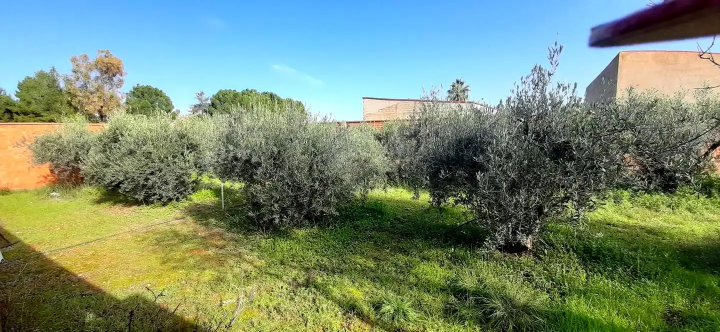 Casa o chalet en venta en Cariñena con Calefacción, Jardín privado y Trastero