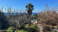 Garden of House or chalet for sale in Tarifa  with Private garden, Terrace and Storage room