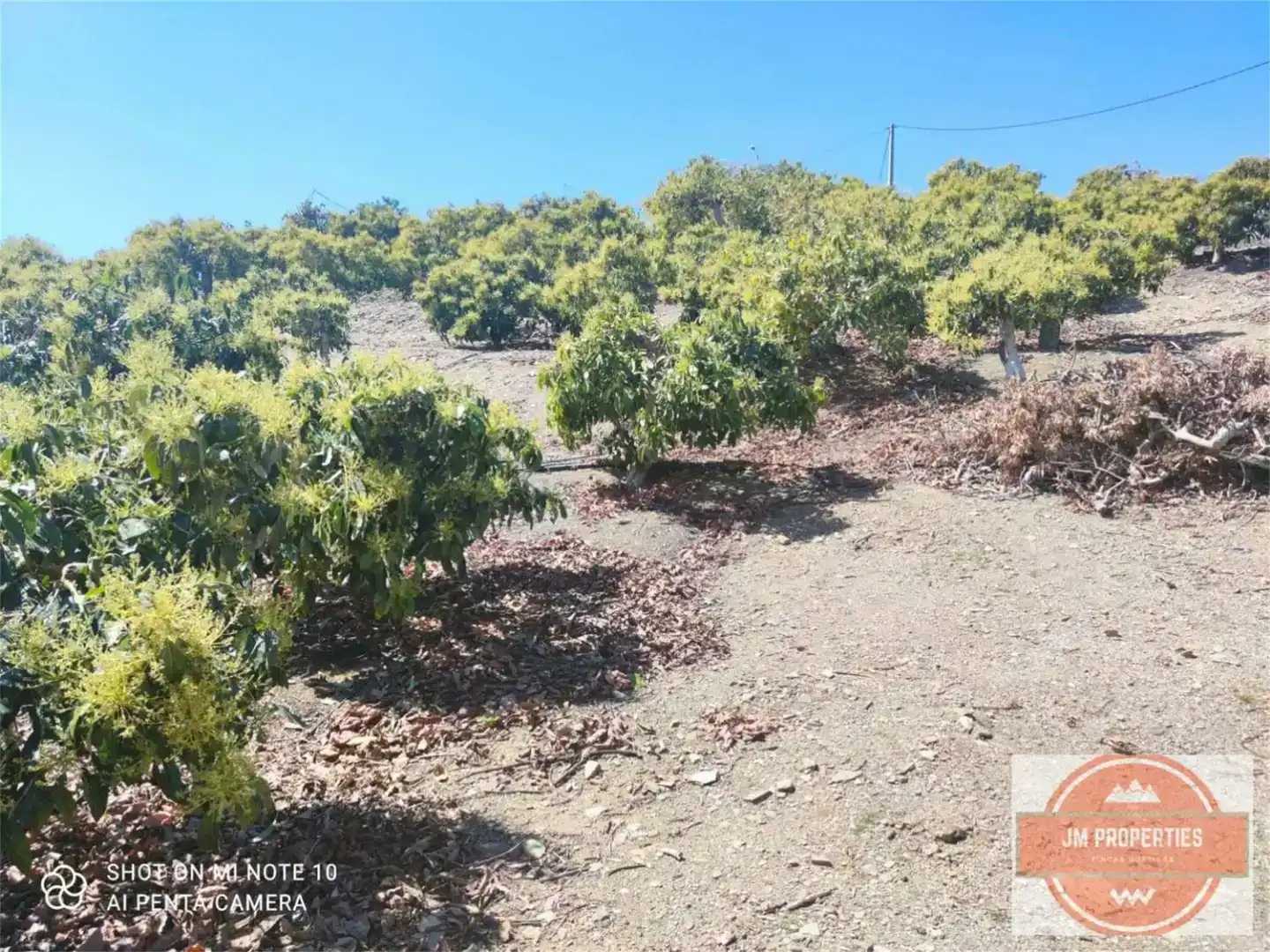 Terreno en venta en Almáchar, Málaga