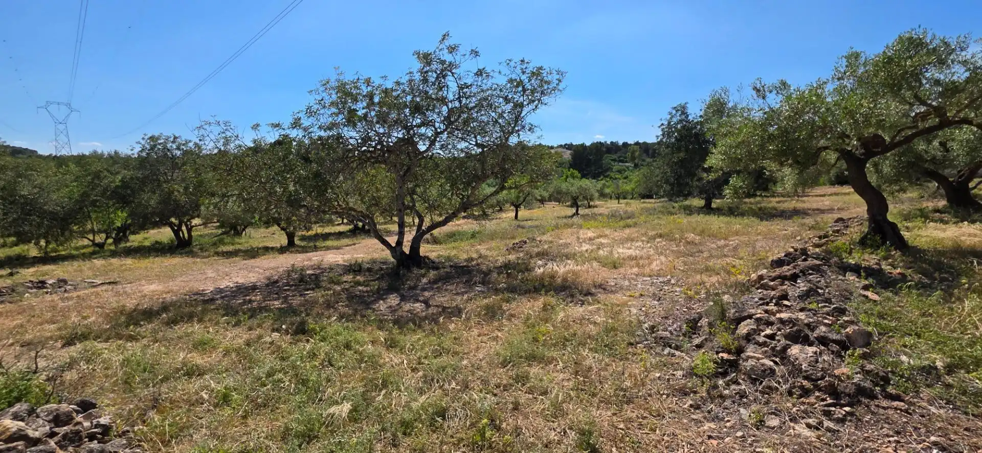 Maison rustique à vendre à Tivissa, imagen 35