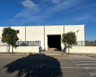 Exterior view of Industrial buildings to rent in Camarena