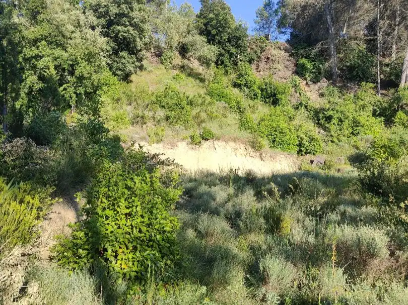 Residencial en venta en Castellbell i el Vilar