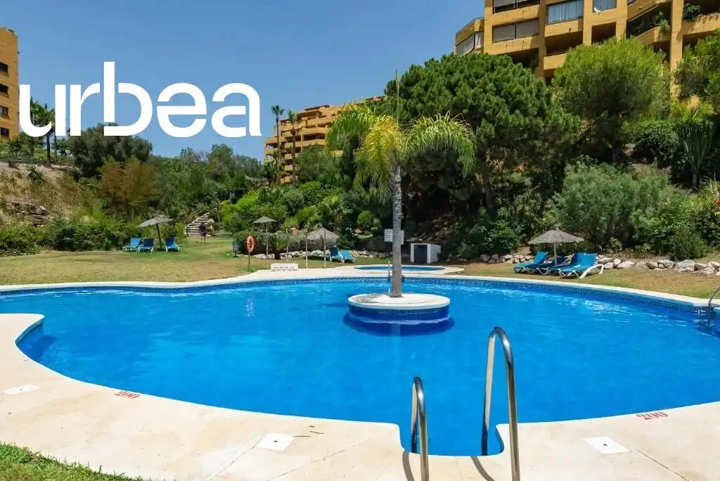 Piso con piscina en venta en Avenida INGENIEROS DE RIVIERA, imagen 26