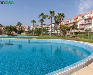 Swimming pool of Flat for sale in El Ejido  with Private garden, Terrace and Storage room