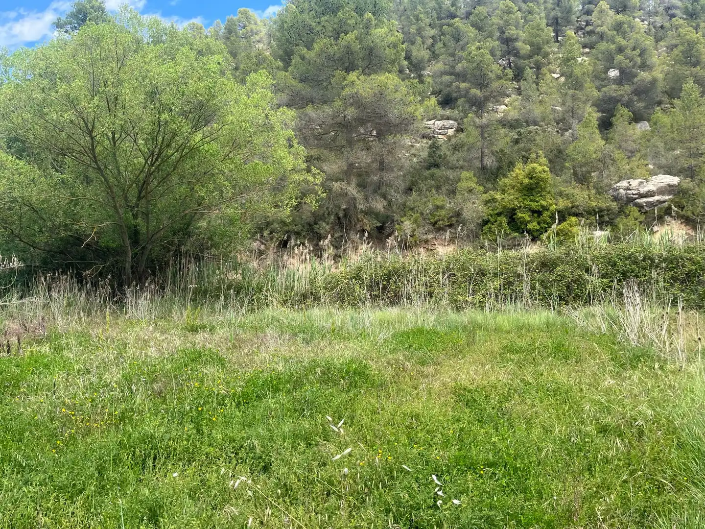 Terreno en venta en Cretas