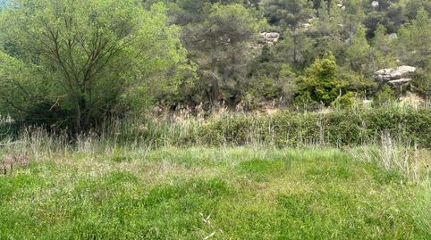 Pequeño huerto en Calapatans, immagine 5