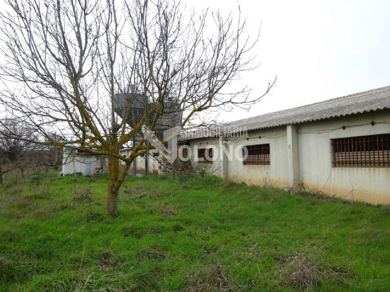 Industrial land for sale in Rodezno
