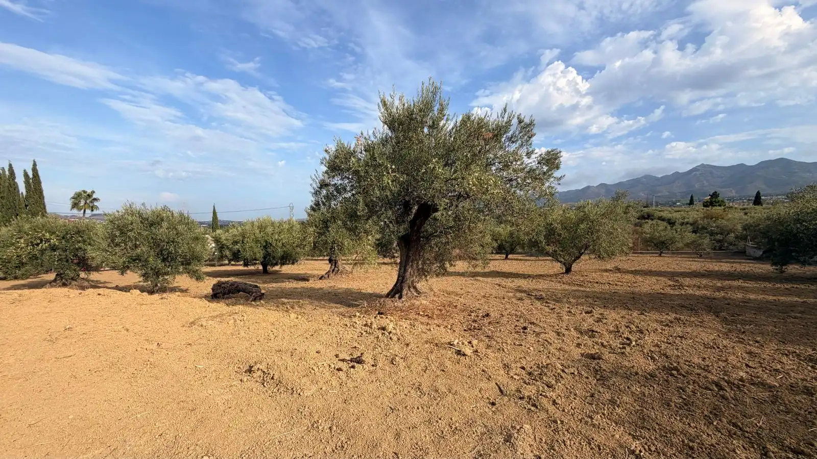 Rural land for sale in El Romeral - Peñón de Zapata, imagen 8