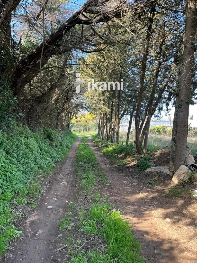 Casa o chalet en venta en Llofriu